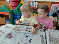 image-16-06-26-02-55-2